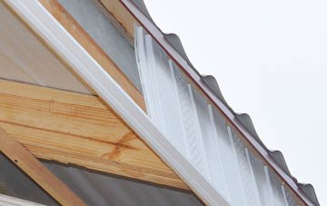 why West Newton fascia repairs are essential
