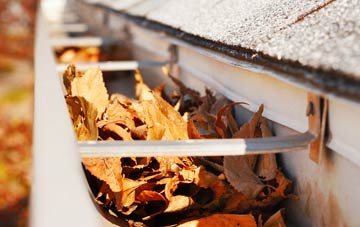 West Newton gutter cleaning companies