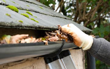 gutter cleaning West Newton