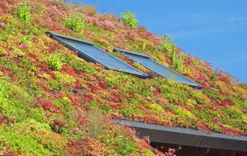 West Newton living roof systems